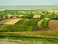 участки под ижс