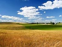 наследование земельного пая