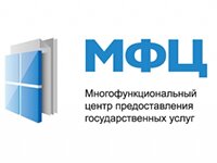 выписка из егрп в мфц