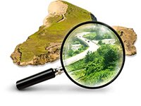 сведения из кадастра недвижимости