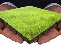 договор купли продажи земельного пая