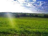 закон о земельных паях в россии